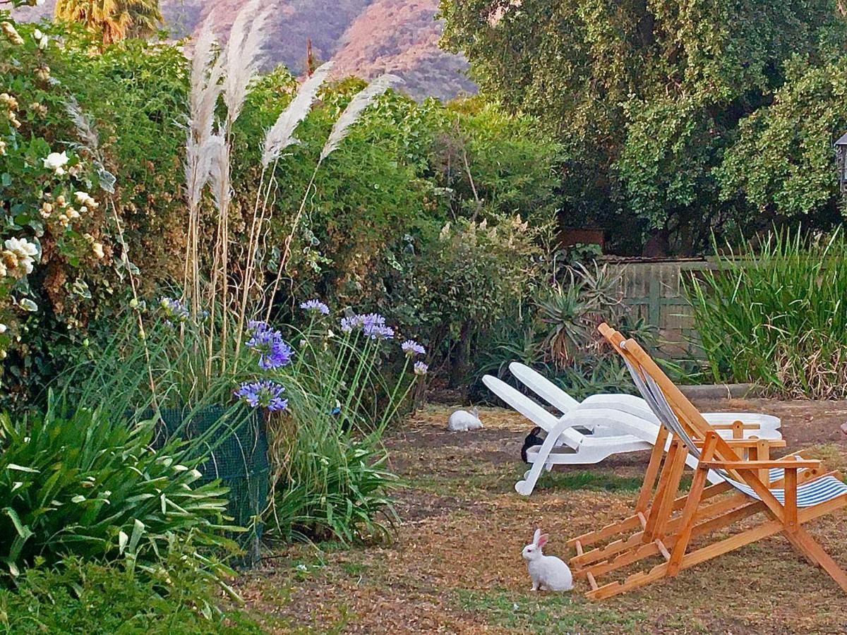 Olmué Novaqua Bed & Breakfast מראה חיצוני תמונה